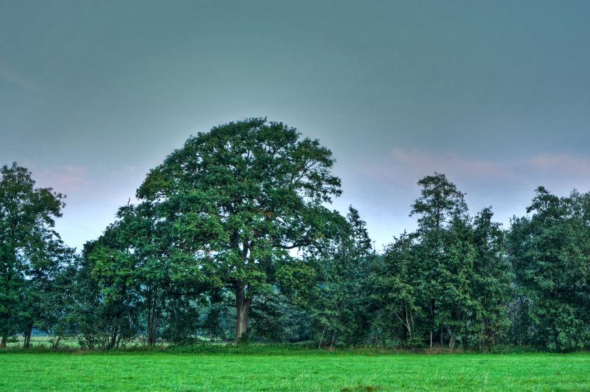 2011_09_17_0036_HDR_7_HDR_8_HDR_tonemapped