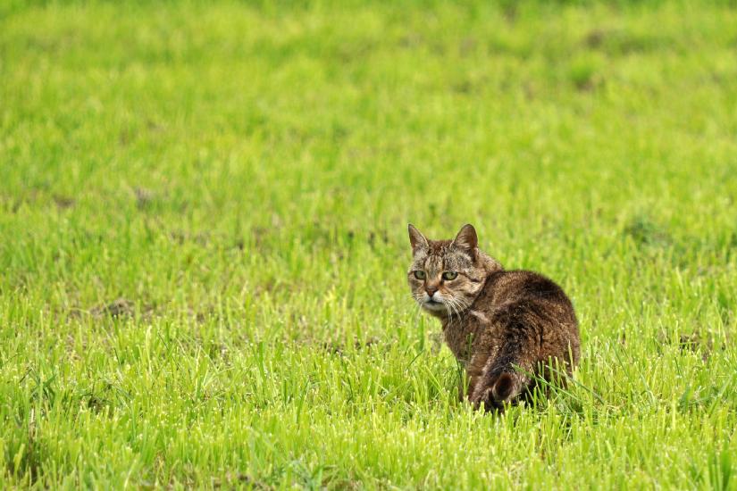 2011_09_17_0054_SeptoberT