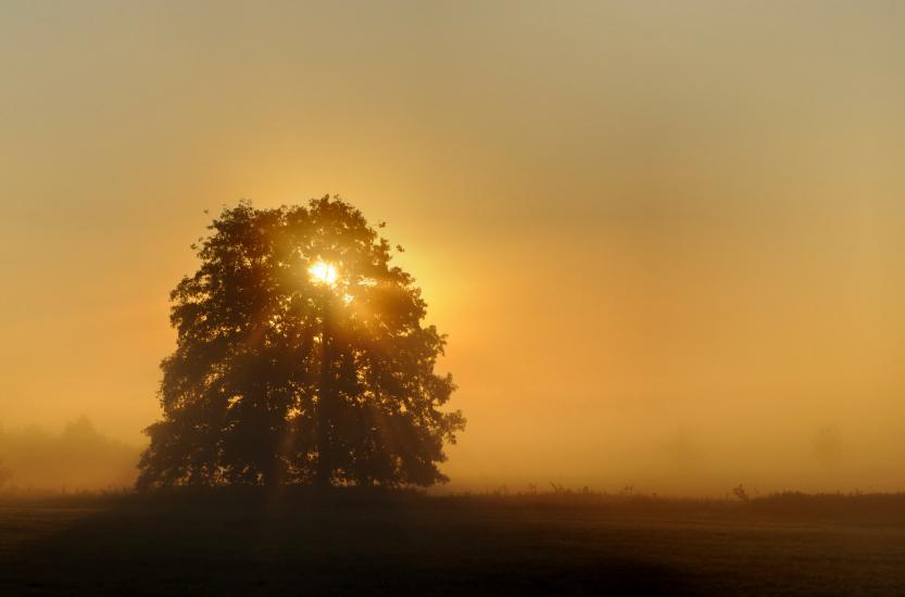 2011_10_02_0241_SeptoberWAnd2more_fused