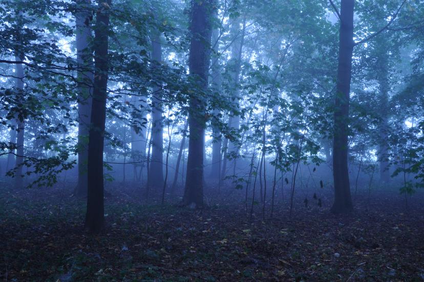 2011_10_03_0476_SeptoberW