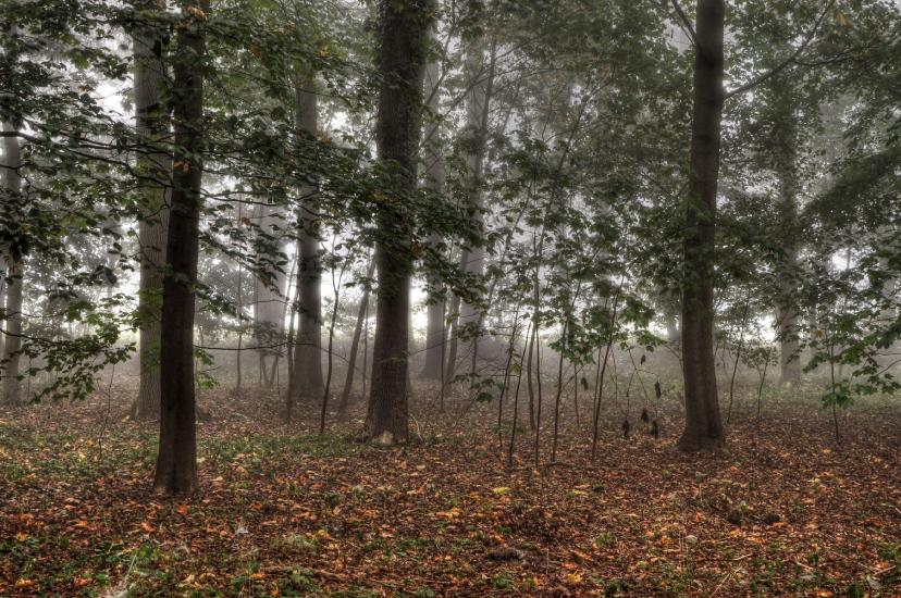 2011_10_03_0479_SeptoberWAnd2more_tonemapped