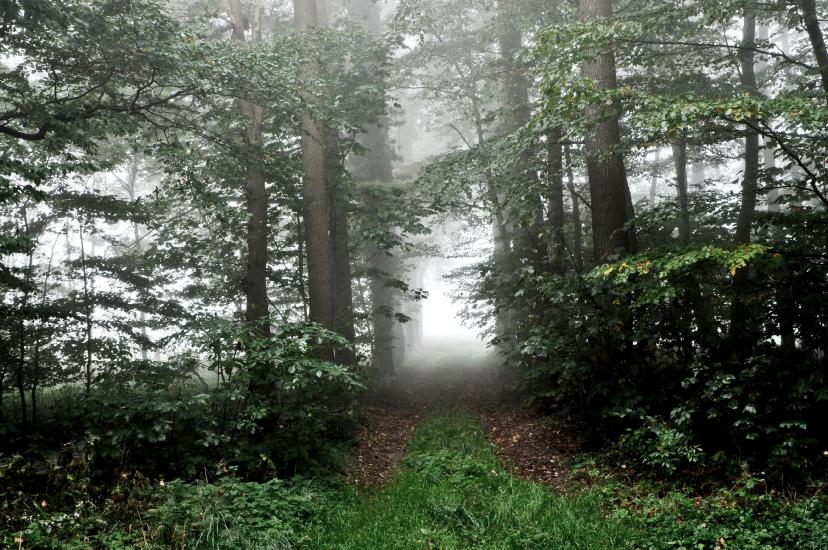 2011_10_03_0485_SeptoberWAnd2more_tonemapped