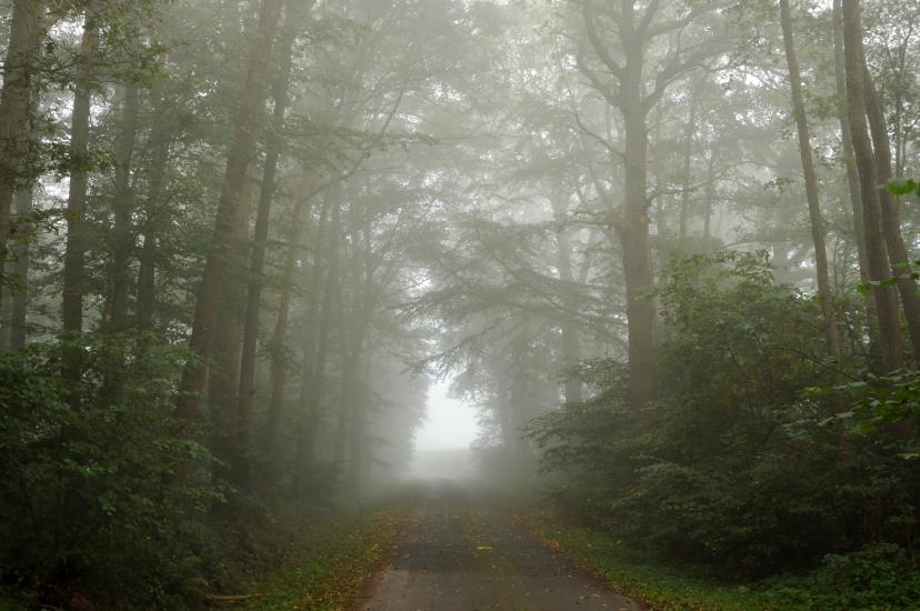 2011_10_03_0497_SeptoberWAnd2more_fused