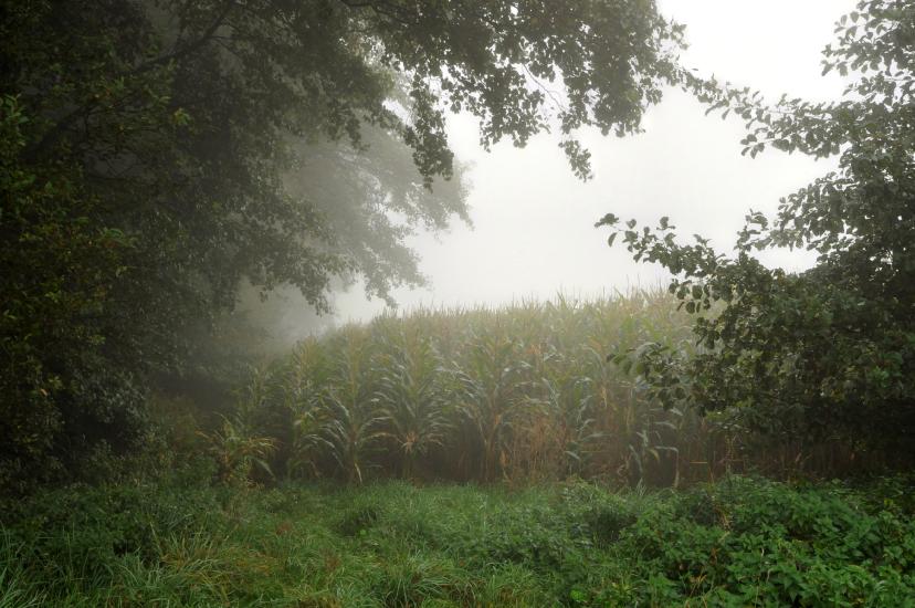 2011_10_03_0524_SeptoberWAnd2more_fused