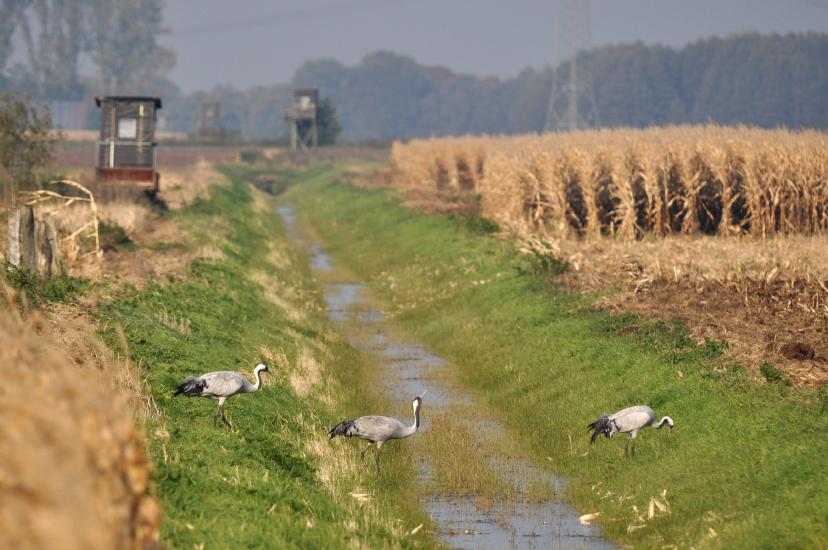 2011_10_24_0125_DHM500