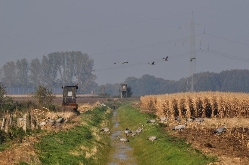 2011_10_24_0311_DHM500