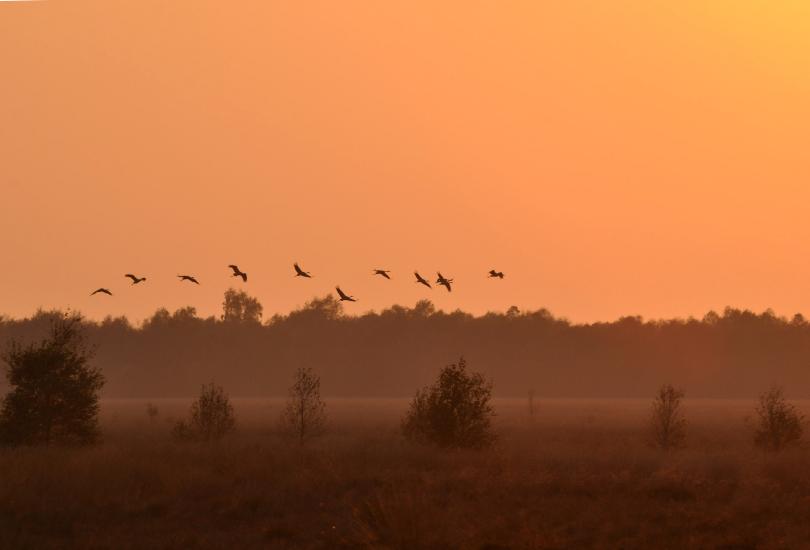 2011_10_24_0454_DHM500