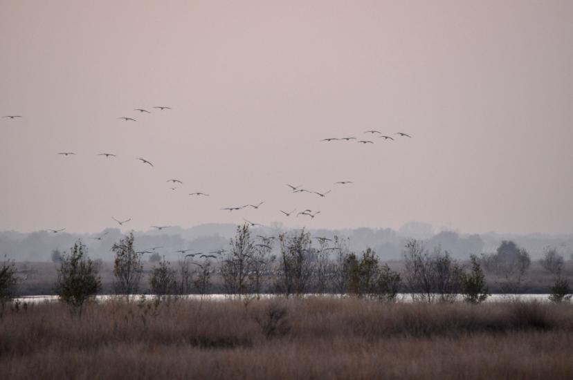 2011_10_24_0562_DHM500