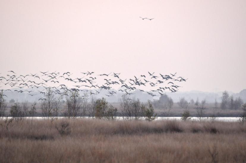 2011_10_24_0580_DHM500