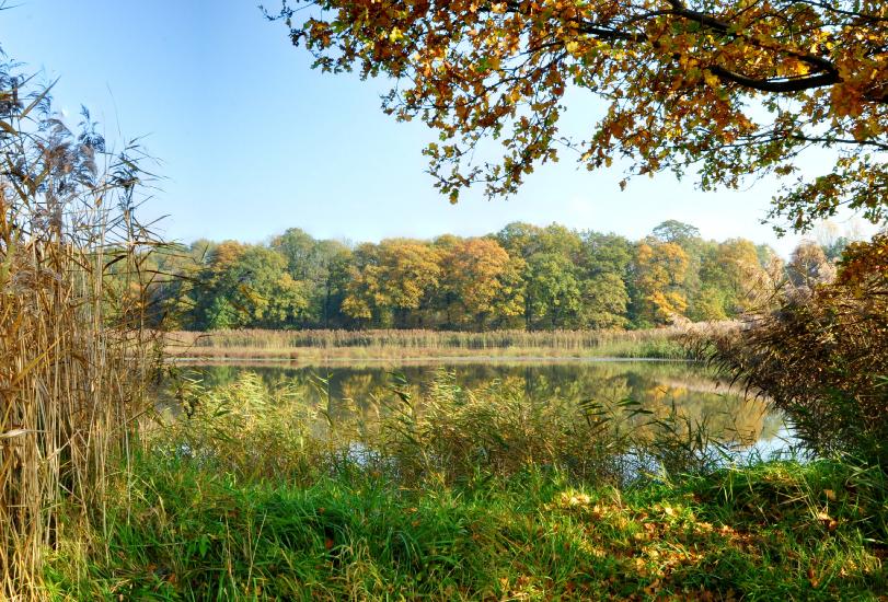 2011_10_31_0015_RieselfelderWAnd2more_fused