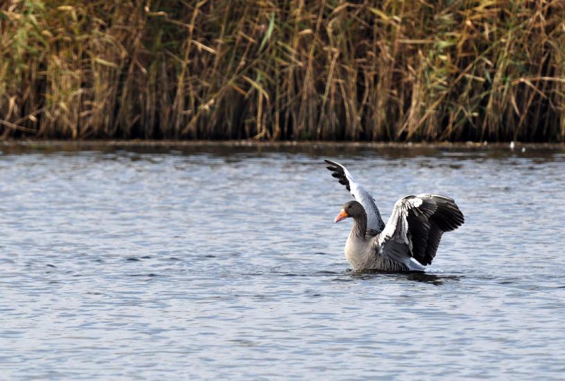 2011_10_31_0566_RieselfelderT