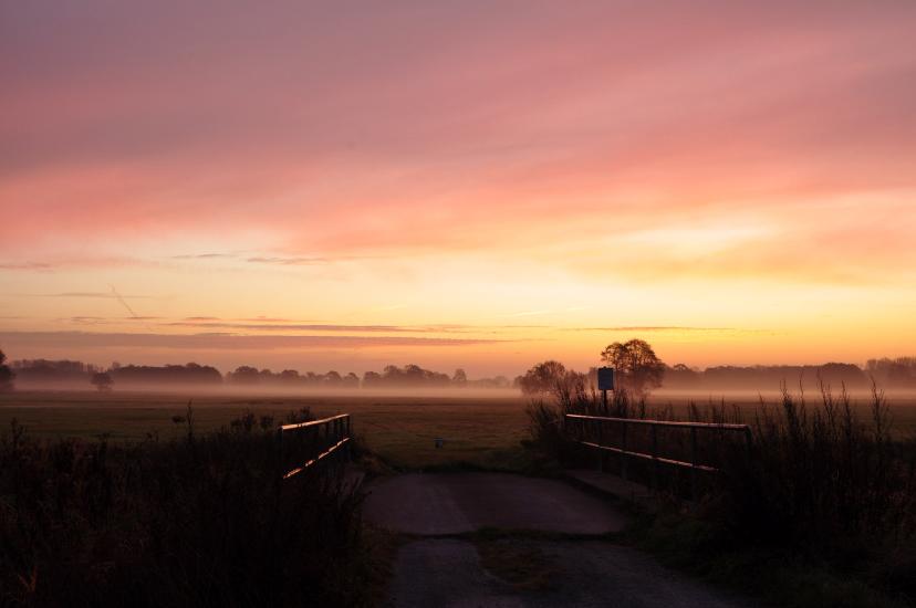 2011_11_06_0032_SensorreinigungW