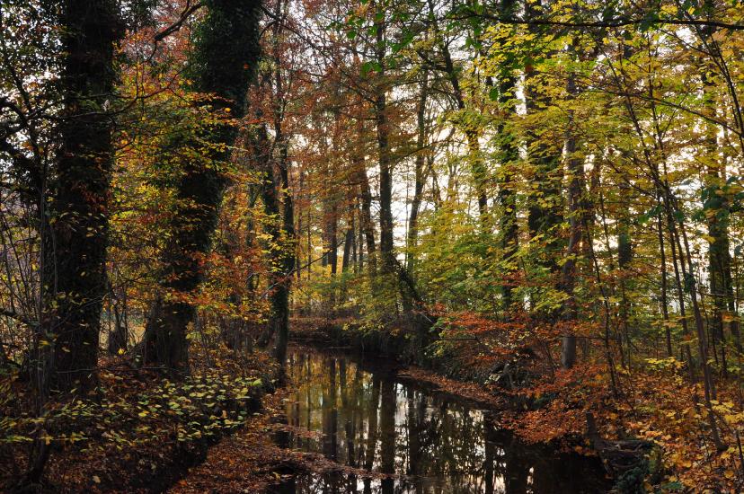 2011_11_06_0077_SensorreinigungW