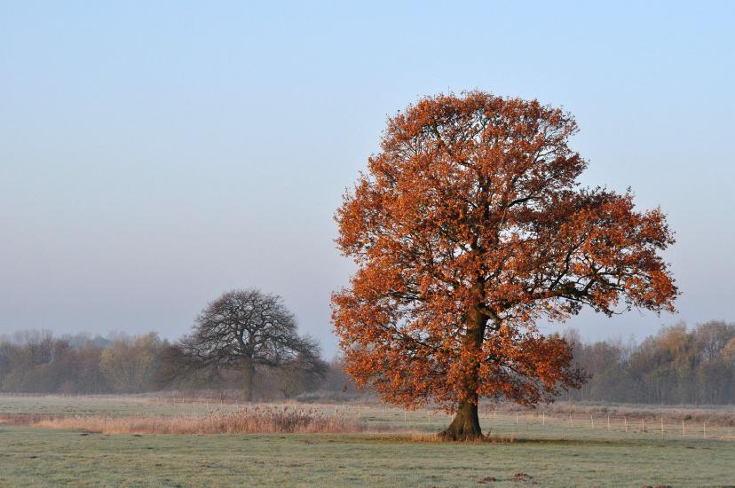 2011_11_12_0001_Diepholz