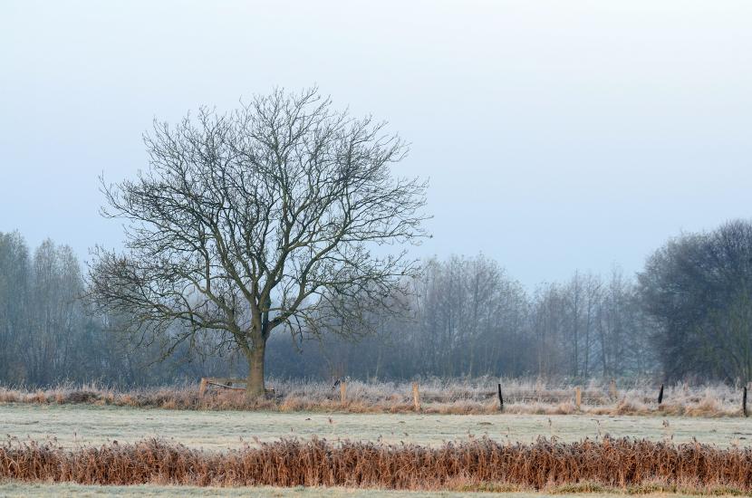 2011_11_20_0026_100300D7000