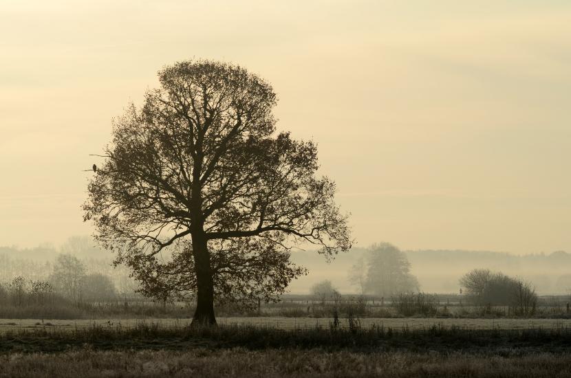 2011_11_20_0059_100300D7000