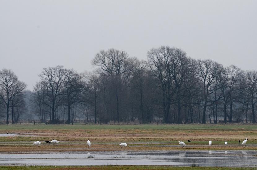 2011_12_26_0107_BruchIII