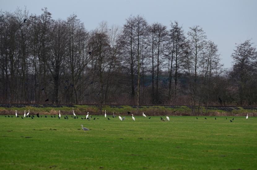 2011_12_28_0171_Bruch