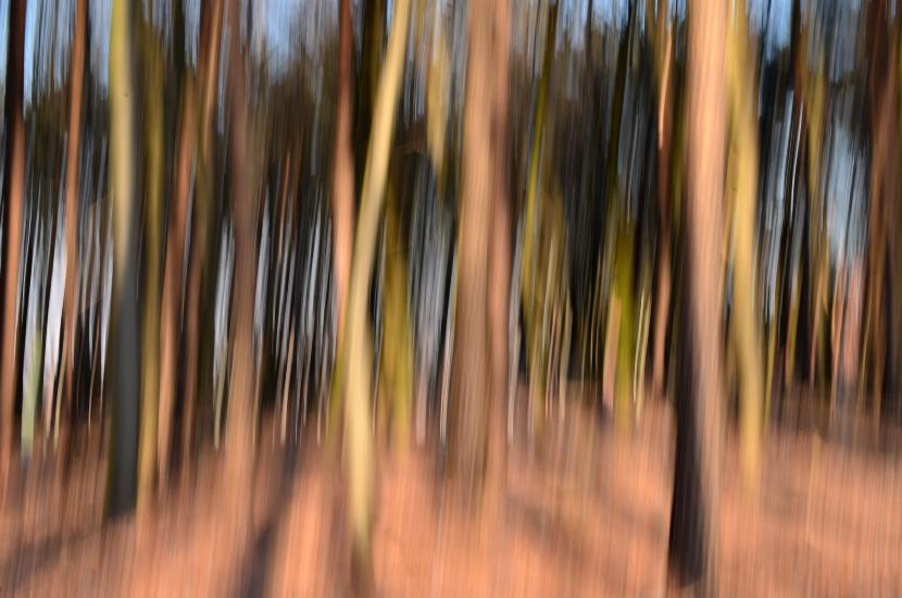 2012_02_05_0550_DiverseD7000