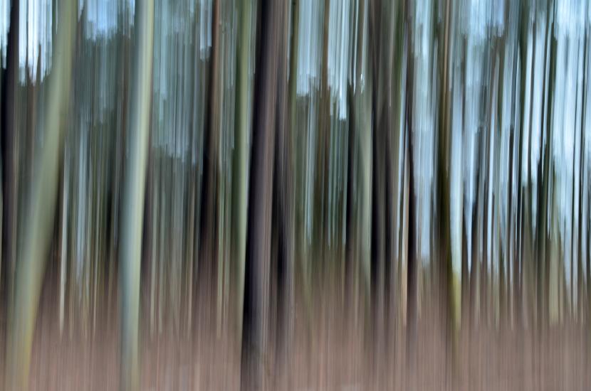 2012_02_19_0199_DiverseTele