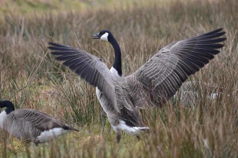 2012_02_25_0025_Rieselfelder