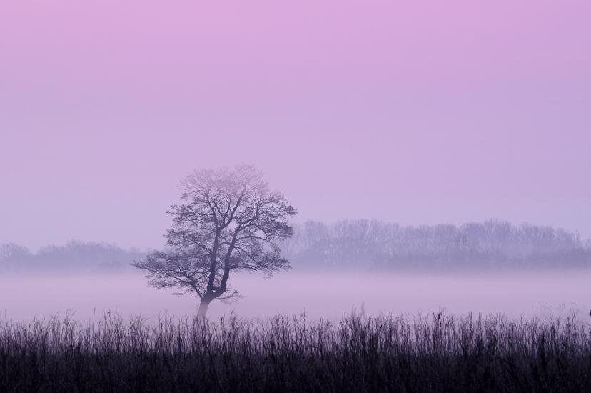 2012_03_24_0004_Makro