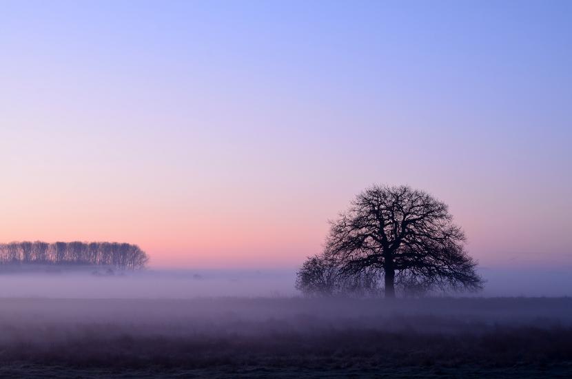 2012_03_25_0600_Tele