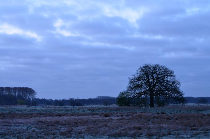 2012_04_01_0020_Bruch