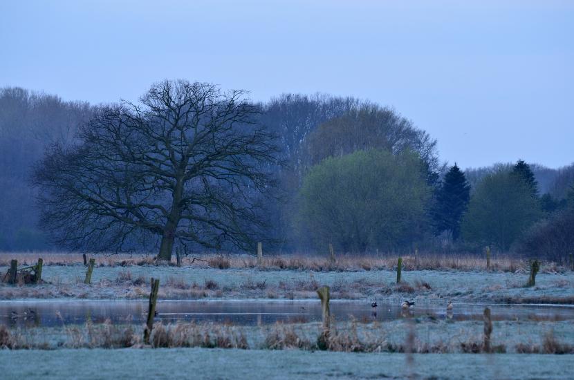 2012_04_01_0058_Bruch