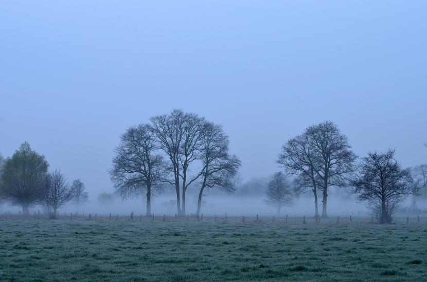 2012_04_14_0040_Bruch