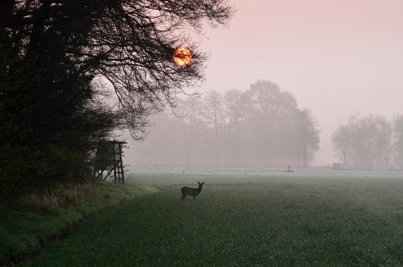 2012_04_14_0107_Bruch