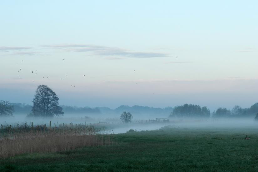 2012_04_30_0103_LandschaftP7100