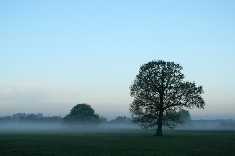 2012_04_30_0114_LandschaftP7100