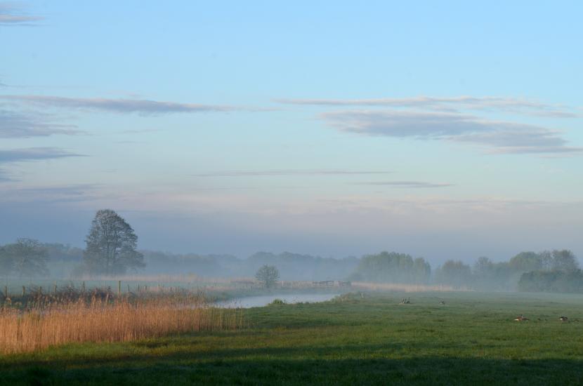 2012_04_30_0657_Telefoto