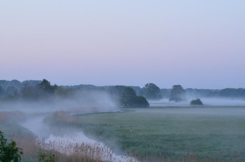 2012_05_13_0029_Tele