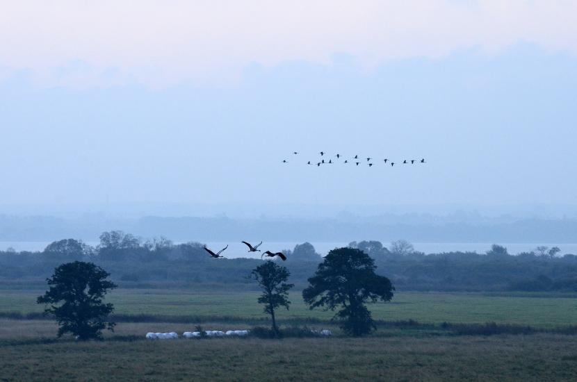 2012_10_09_0375_SalemST