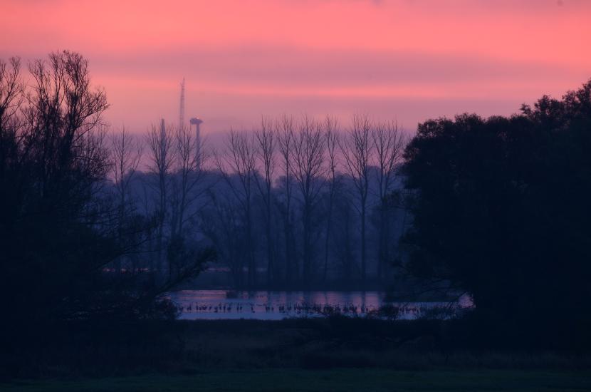 2012_10_10_0803_SalemST