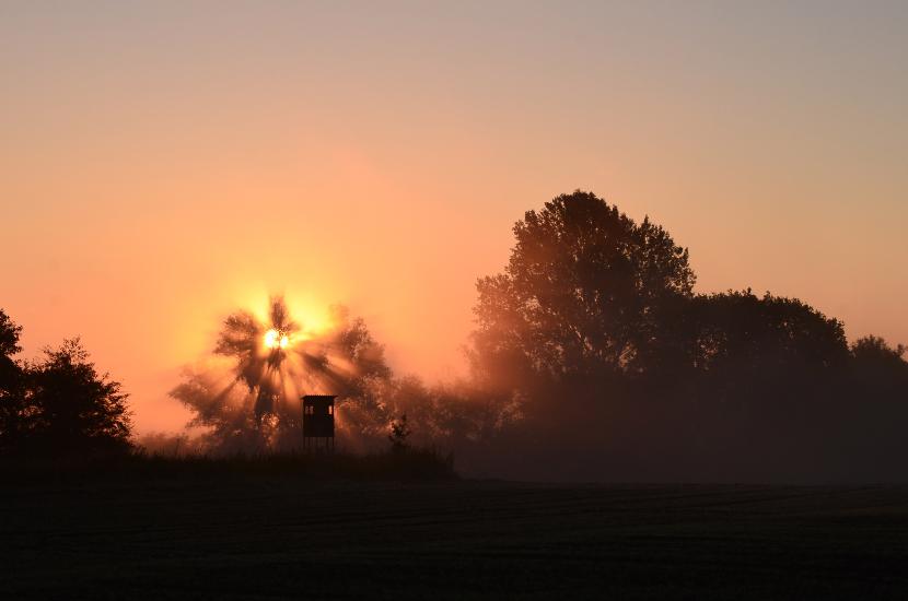 2012_10_12_1710_SalemST