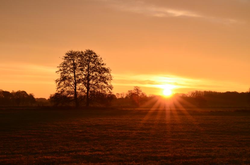 2012_11_23_0065_Schmalwinkel