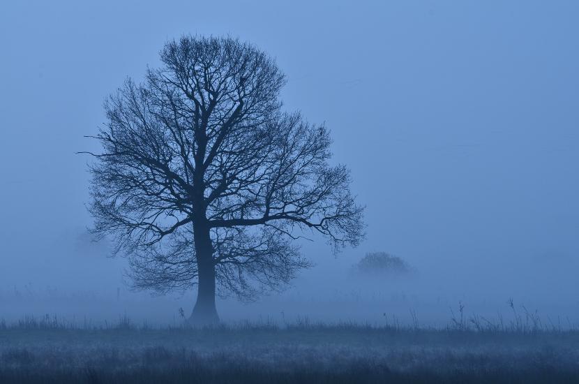 2012_11_24_0233_Schmalwinkel