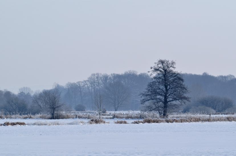 2013_01_26_0063_Makro