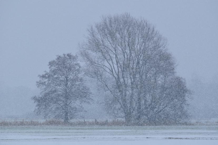 2013_02_09_0083_Februar_Makro