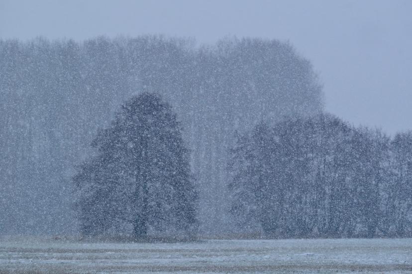 2013_02_09_0089_Februar_Makro