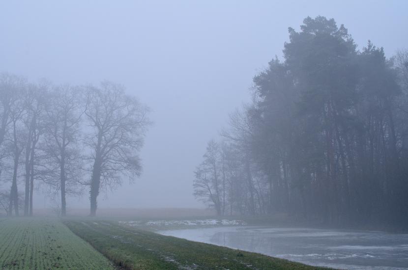 2013_02_16_0204_Februar_Tele