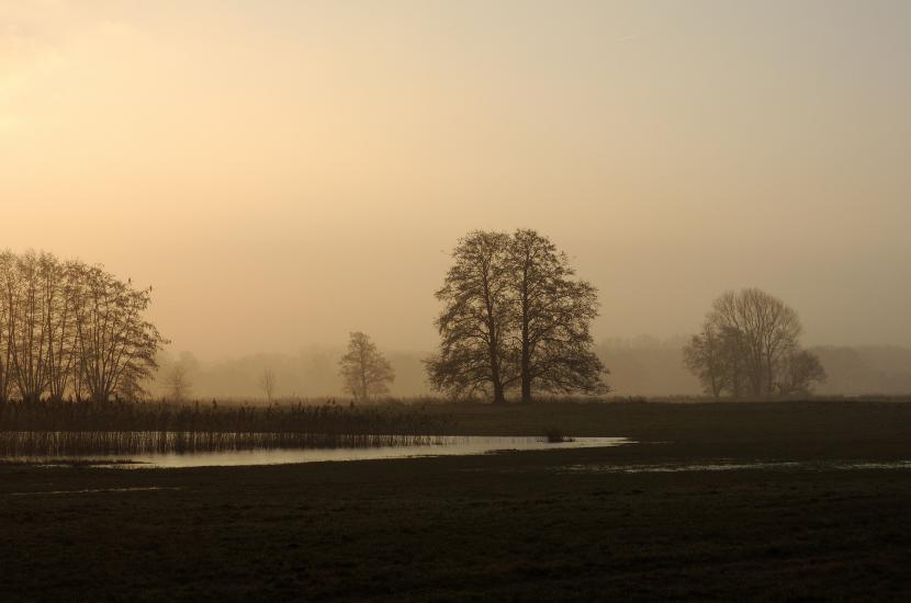 2013_02_16_0363_Februar_310