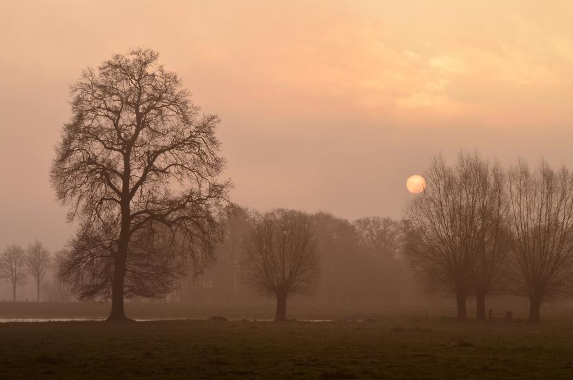 2013_02_17_0348_Februar_Tele