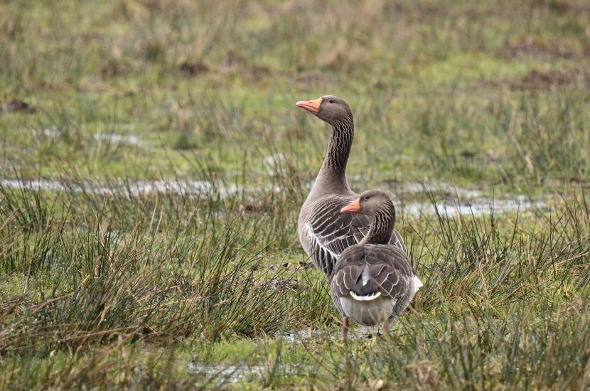 2013_03_03_0289_P7100