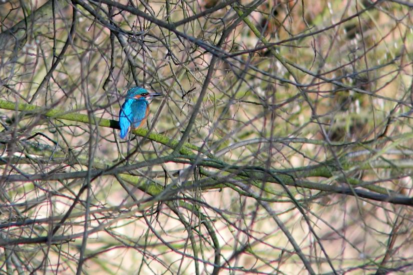 2013_03_05_0188_P7100