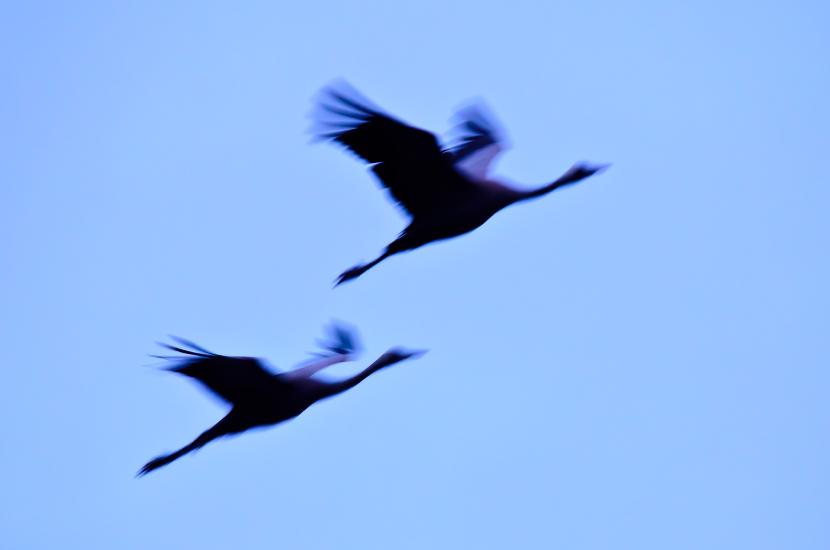 2013_03_23_0056_TELEb