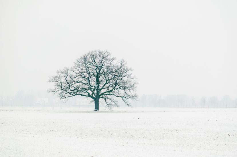 2013_03_29_0014_MAKRO_LR